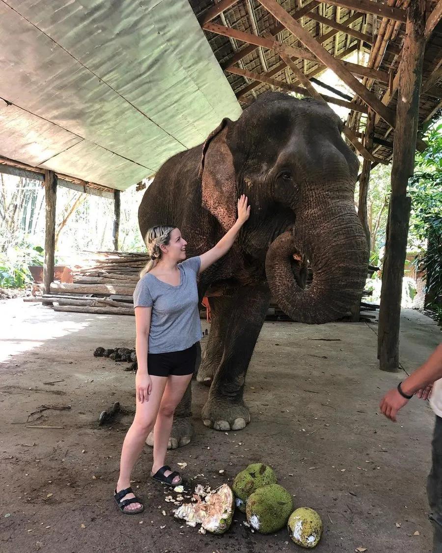 离曼谷市区最近的酒店,曼谷具有原始气息的五家酒店