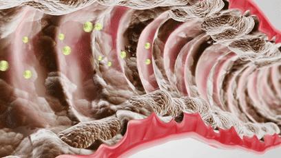 不吃淀粉和糖类食物可以减肥吗,减肥不吃淀粉和糖吃什么