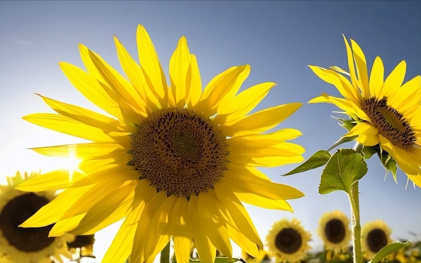 真菌感染的脚气是什么原因造成的,真菌性脚气传染又痒又肿用什么药