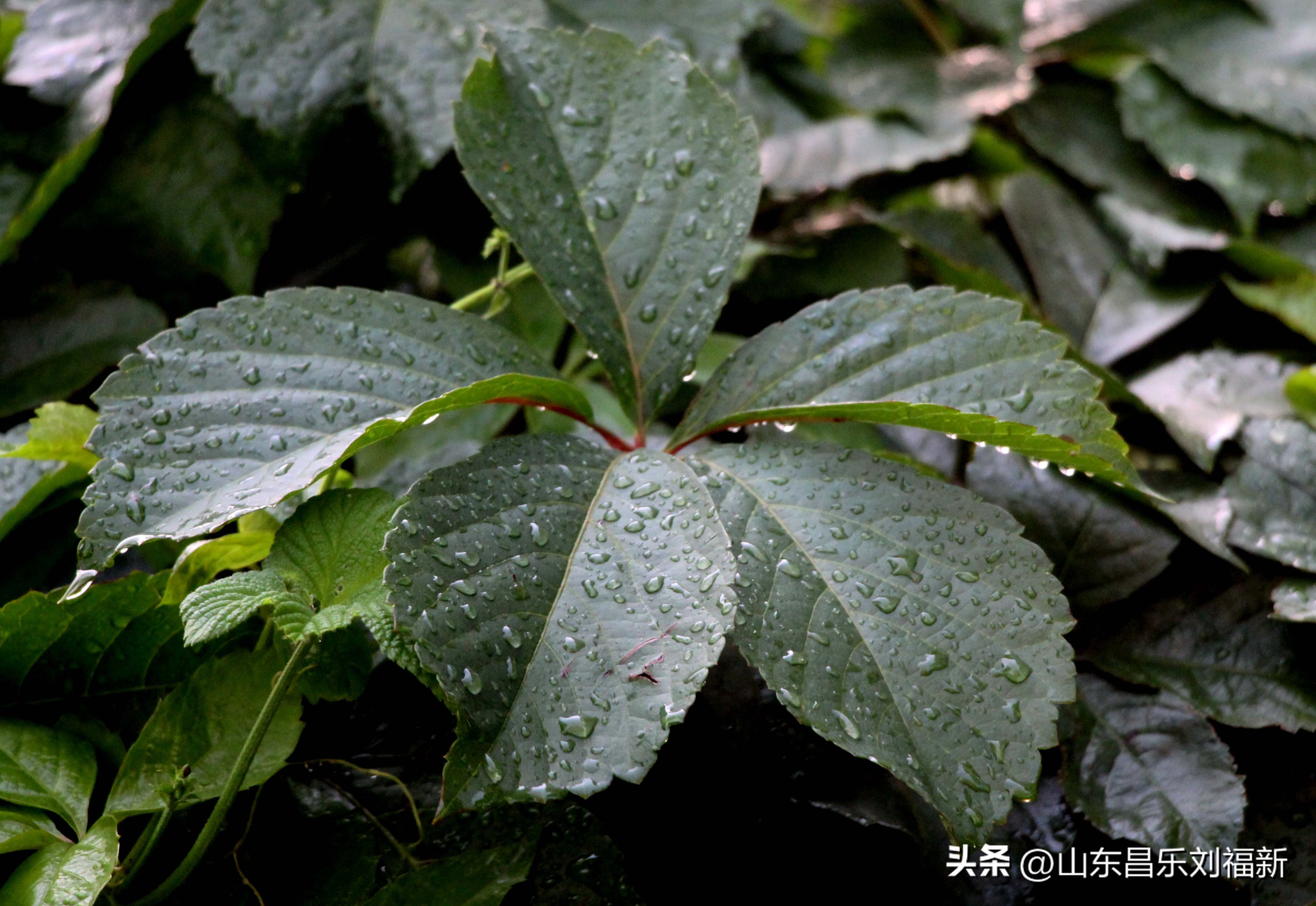 2023年8月20日有雨吗,2021年8月19日有没有下雨