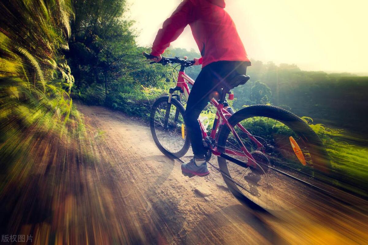 国货山地车哪个牌子好,全球山地车10大品牌排行榜