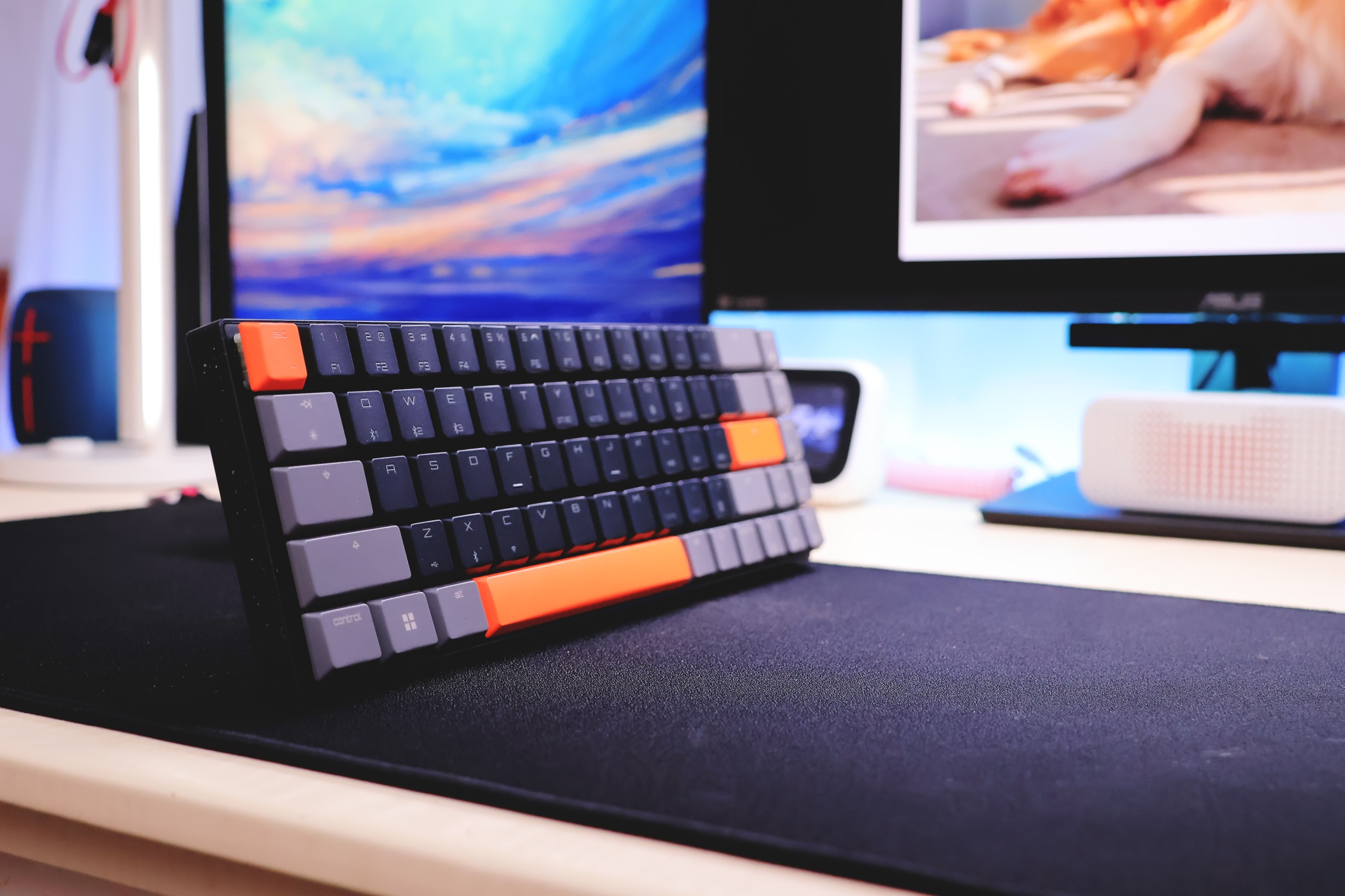 Switch全家桶配件,cherry办公键鼠套装