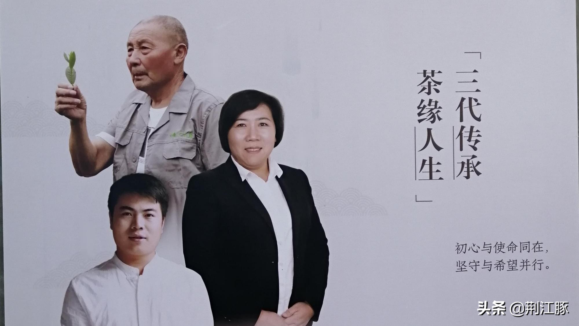 时隔215天,我再次来到这里,了解安化黑茶的前世今生