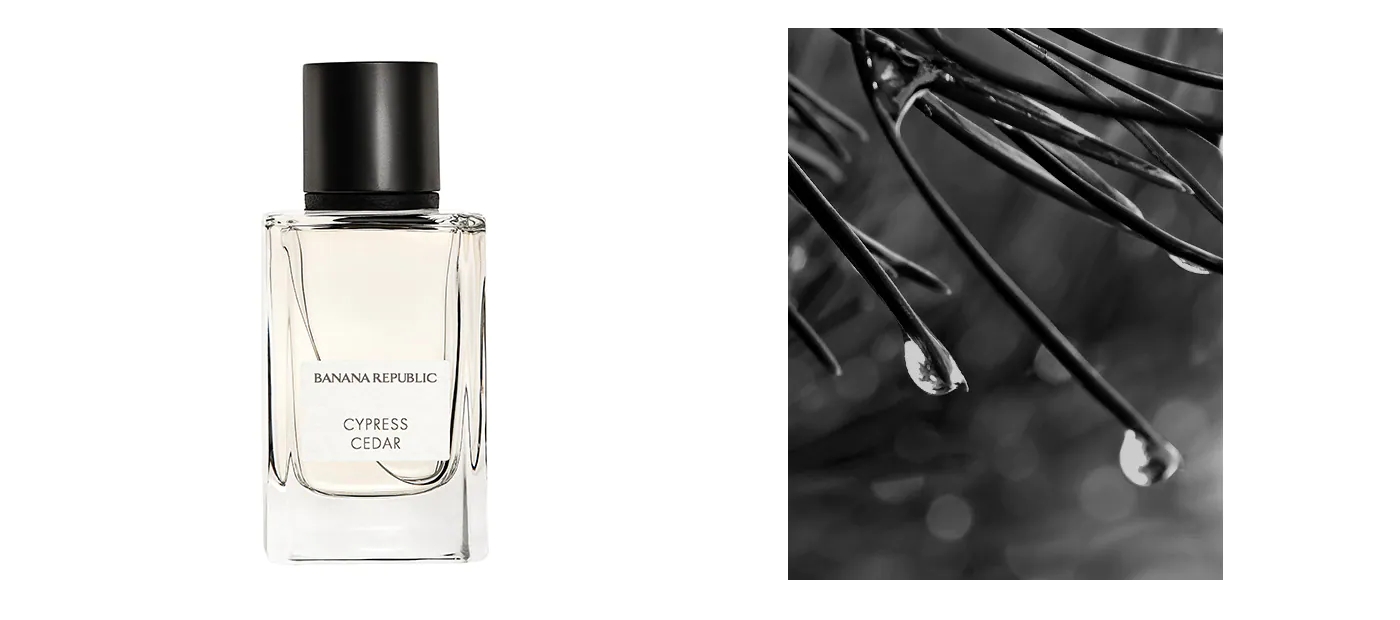 香蕉共和国爱马仕大地,香蕉共和国香水丝柏雪松