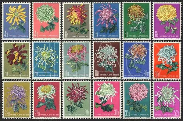 闆嗛偖浠婃棩澶存潯,闆嗛偖澶存潯