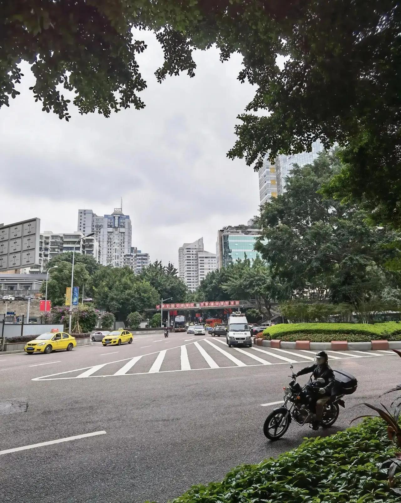 春游开拓眼界,春游樱花广场图片