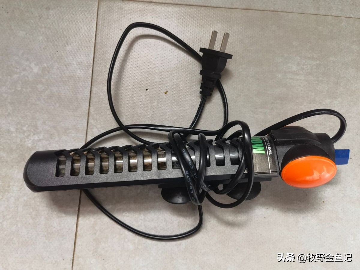 养金鱼冬天需要加热棒吗,家养金鱼冬天需要加热棒吗