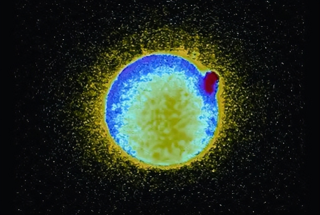 科学家发现精子和卵子,科学家首次拍到粒子和波相互转化