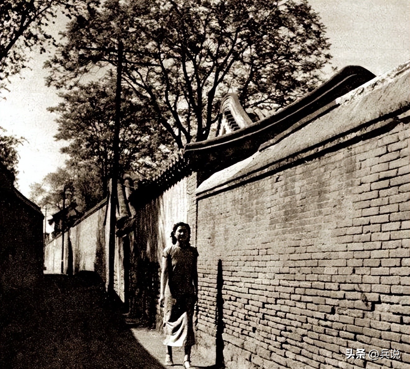 燕子李三师叔被抓,燕子李三被抓进囚车