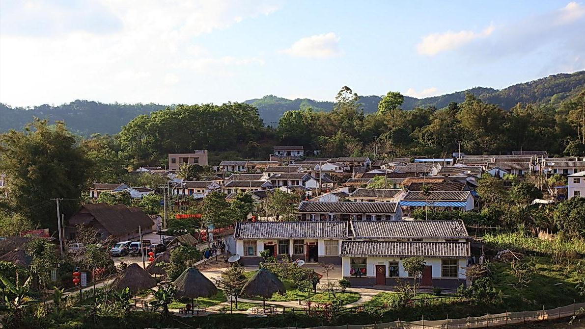 巨蟒为报恩守护十几年,96年海南巨蟒