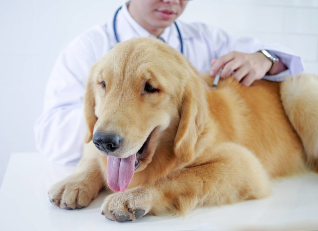 不起眼又赚钱的小生意项目,有什么不起眼却赚钱的小生意