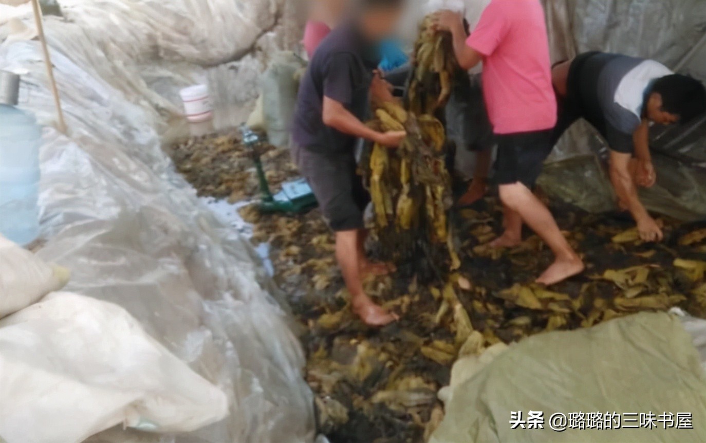 那些黑心的商家,黑心商家昧着良心赚钱