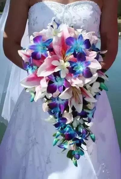 十大价值高的植物,十大花卉有什么花