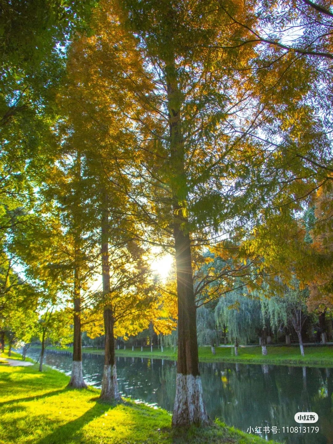 破案了！火爆全网的昆明版天空之境原来在这里