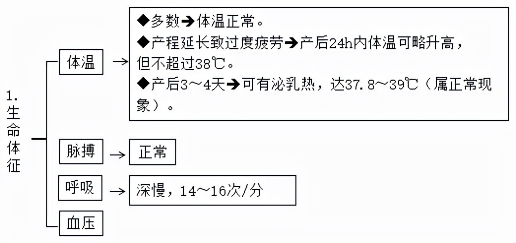 产后没来月经会排卵吗,产后没来大姨妈怎么算排卵期