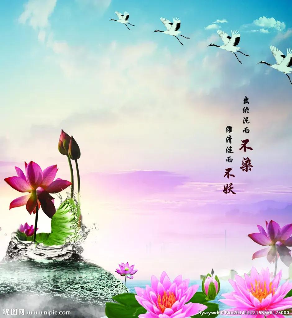 清蒸鱼的做法,清朝