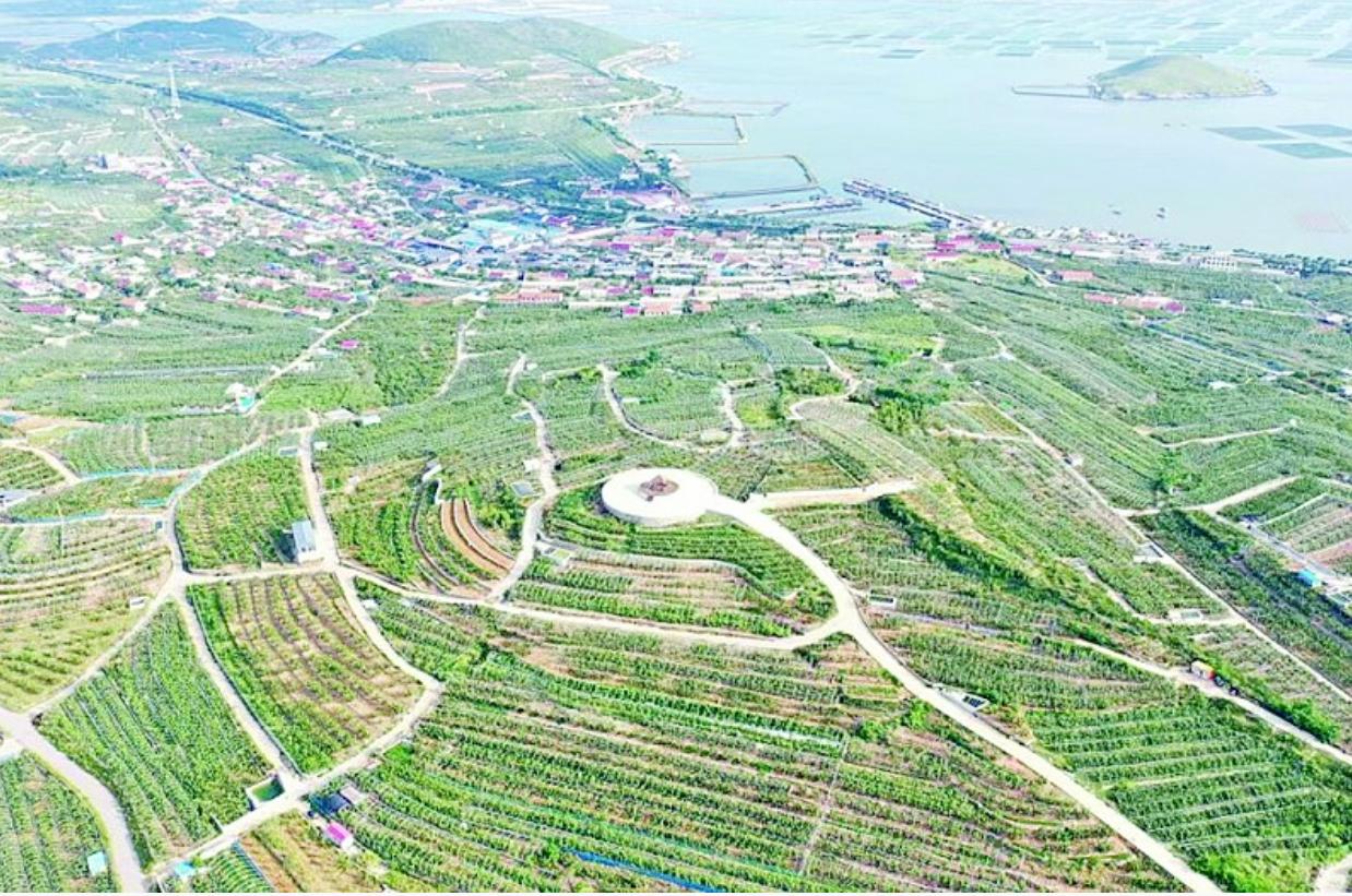 游玩花海的诗词,畅游花海的诗词