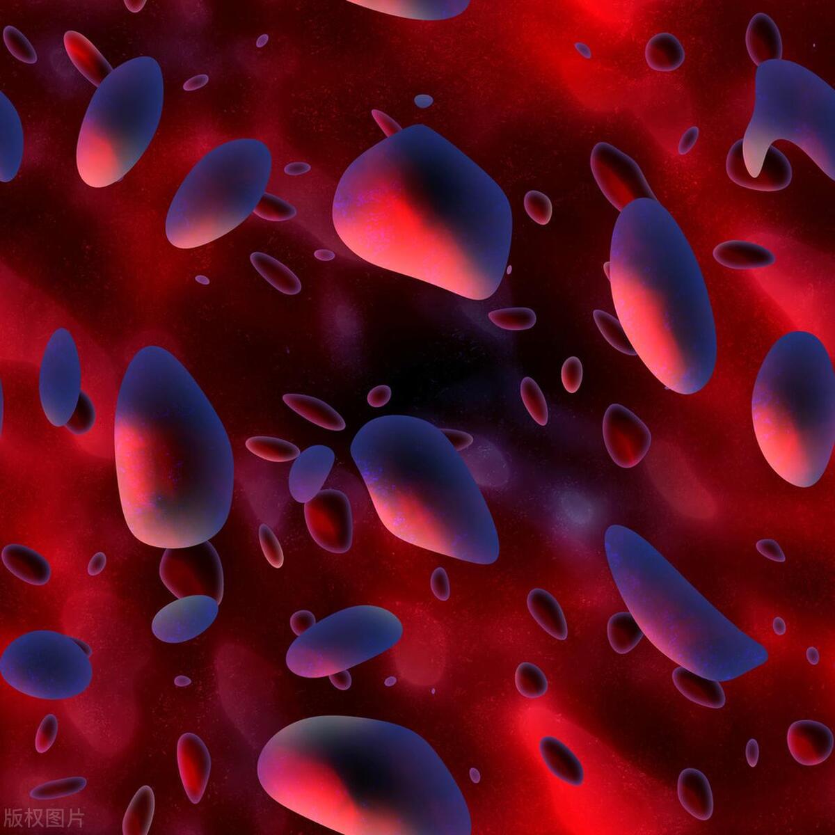 血型决定命运有这种说法吗,血型决定命运有科学道理吗