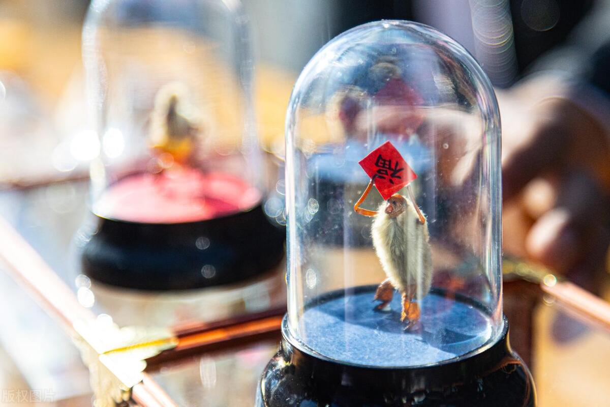 适合穷人的5个创业项目,穷人无本钱创业22种方法