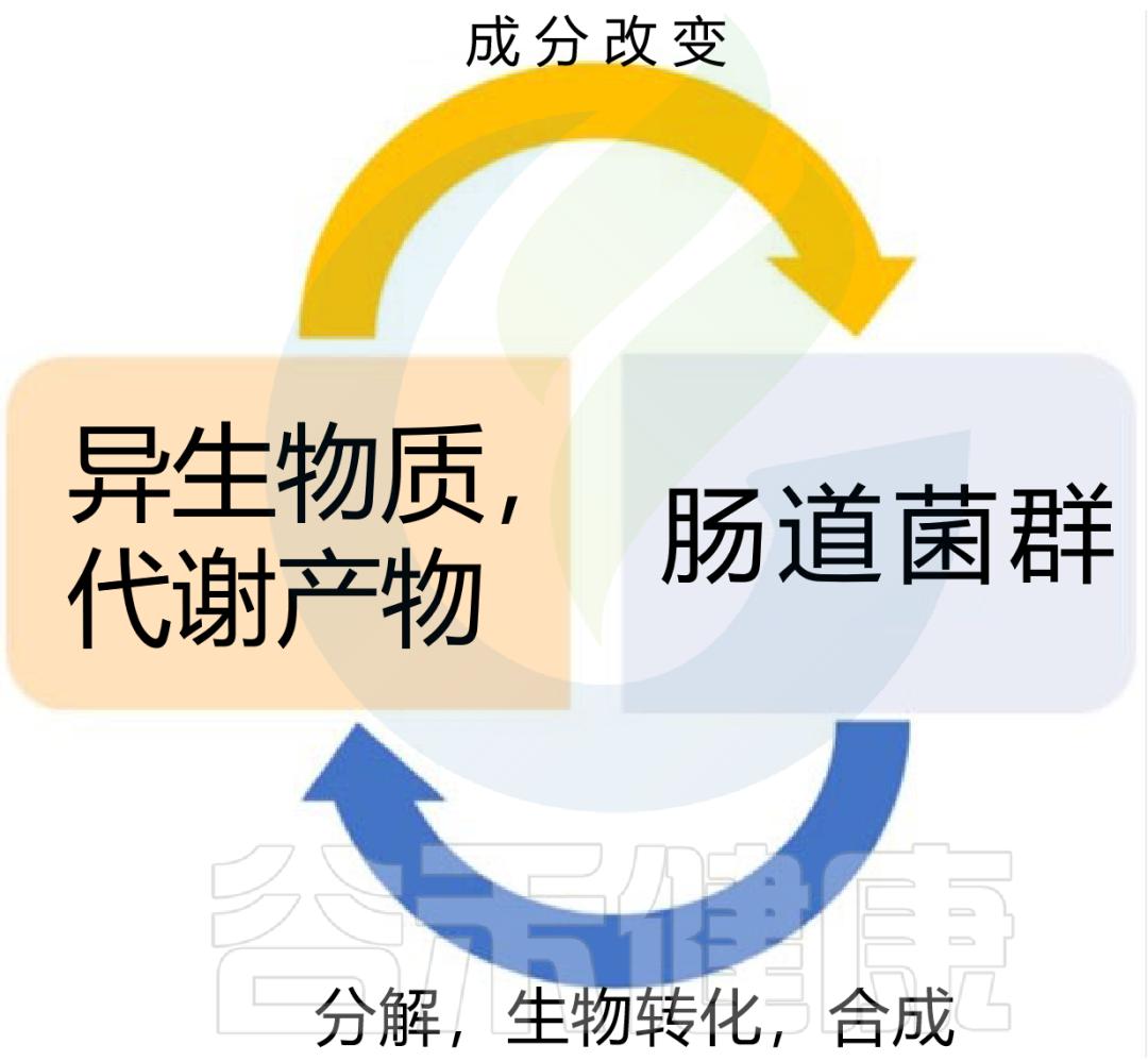 抗生素对哪些微生物起作用,抗生素对正常细菌影响