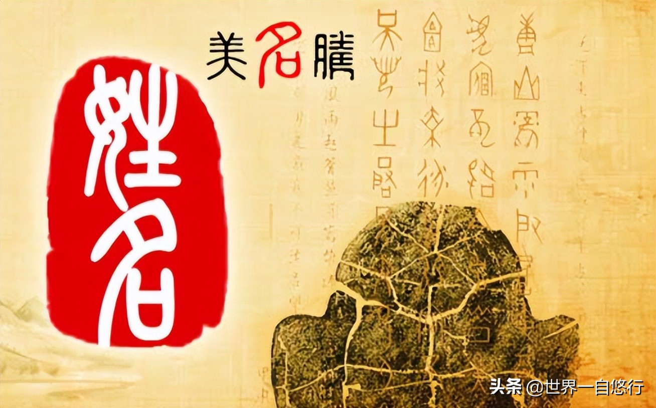 怎么写简历体现自己有变现能力,怎样写简历会让你更有竞争力