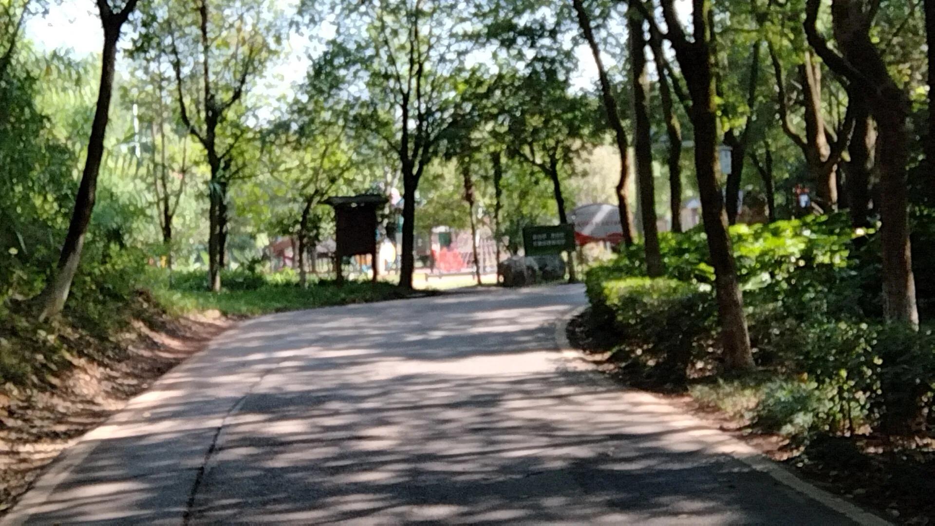 平湖明湖公园攻略,平湖公园免费景点