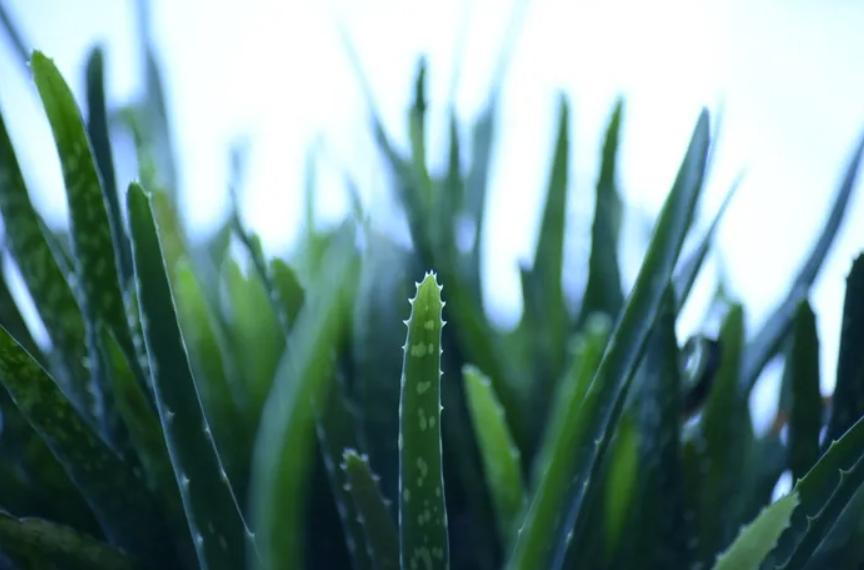 cps广告怎么推广,cpc广告运营的方法和策略