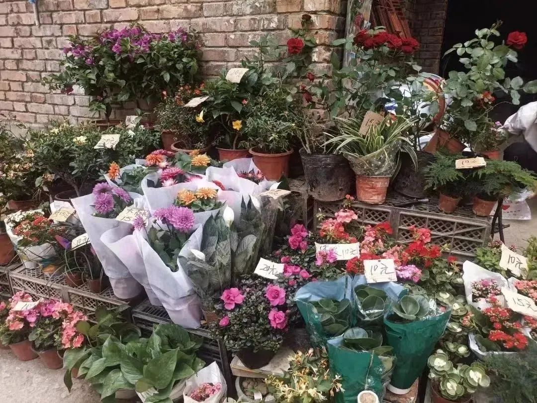 520送花|西安市内9大宝藏花市,分分钟省下上百块