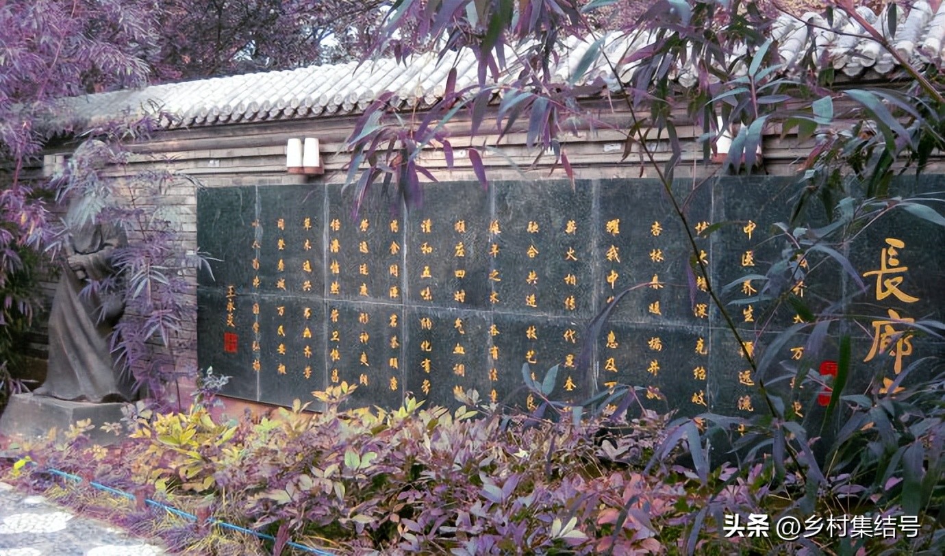 地坛中医药养生文化园南入口,地坛中医药养生文化园是什么