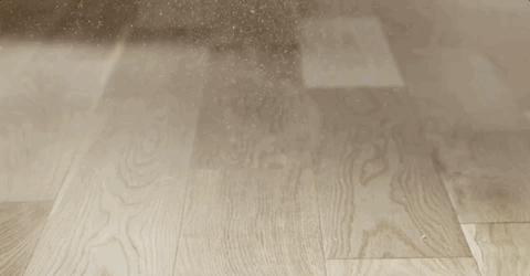 戴森吸尘器配的洗地刷头是正品吗,戴森吸尘器有洗地的功能吗