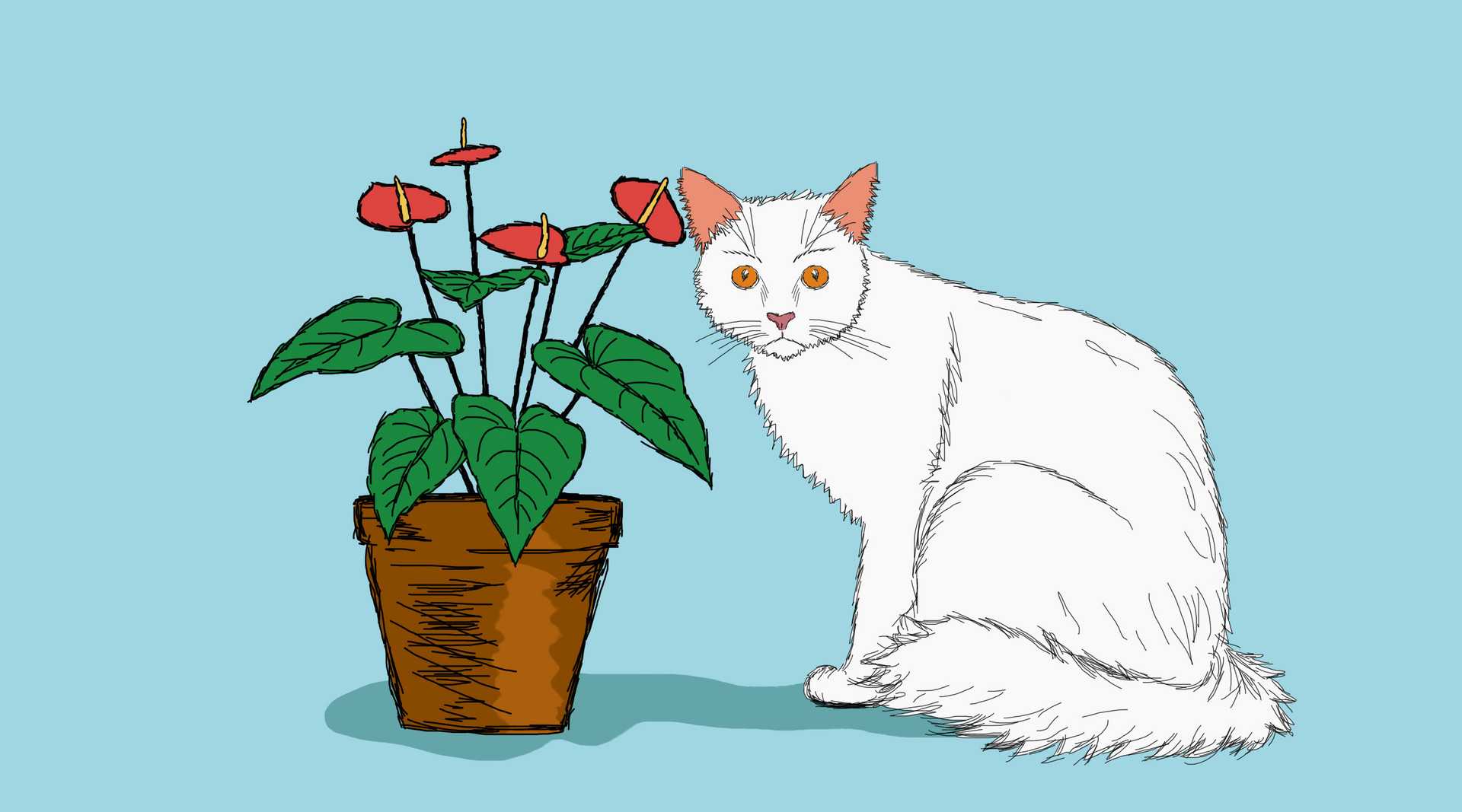 50岁以后熬过这三道坎,50岁前会给自己留好这3条退路