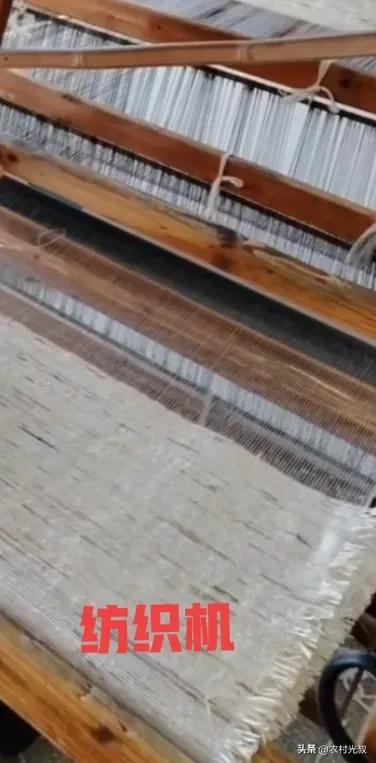 农村不起眼的东西有哪些可以卖钱,在农村有什么好的办法能发家致富