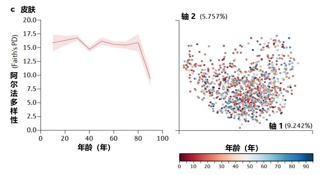 人体微生物分布,人体微生物菌群