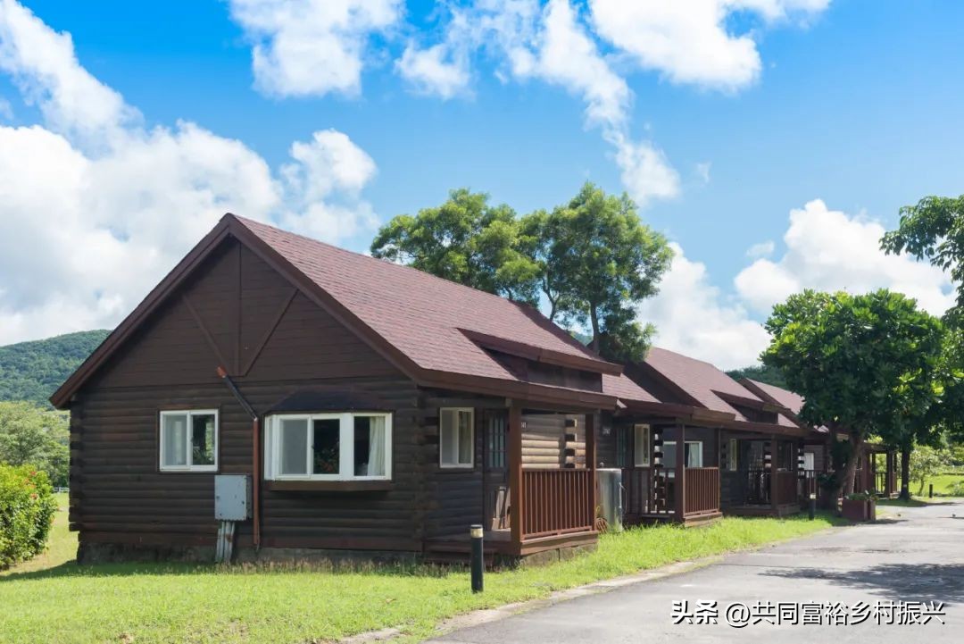 以数字经济助力乡村产业振兴案例,基层党建引领乡村振兴主要案例