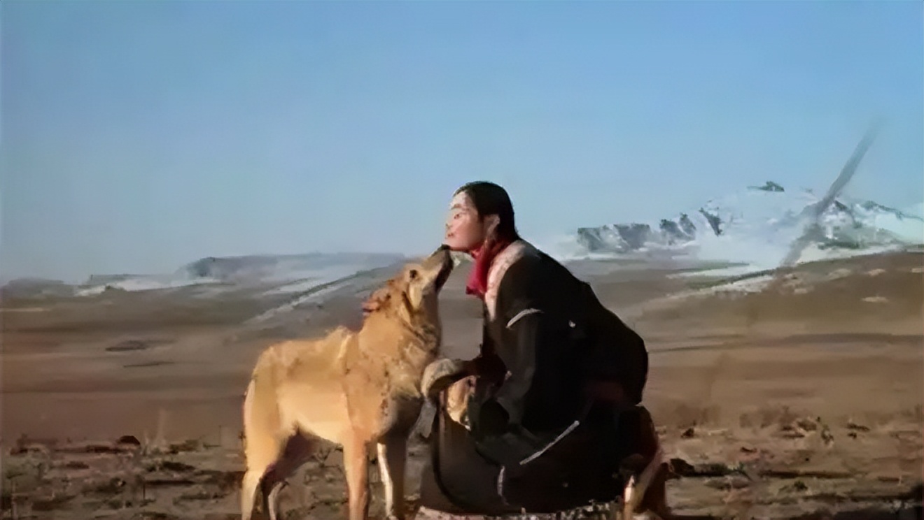 成都画家在草原写生收养狼的故事,成都女青年画家意外收养一只幼狼