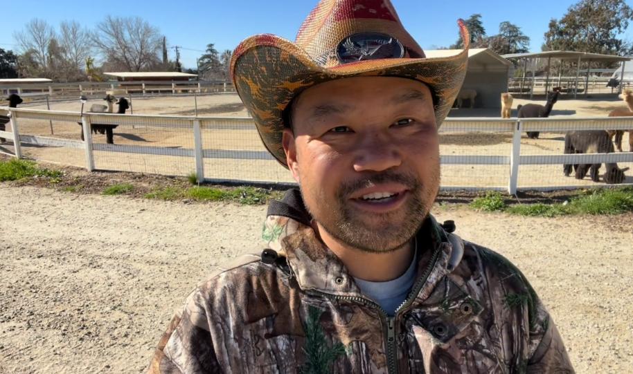 我，36岁财务自由，在美国豪横买庄园买山，还买个农场养羊驼玩