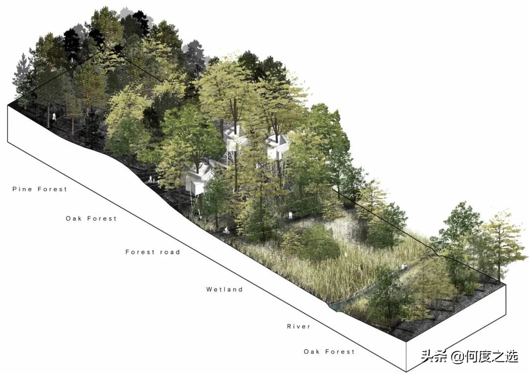 森林里的“树屋”：丹麦森林中建造的酒店，美到让人窒息