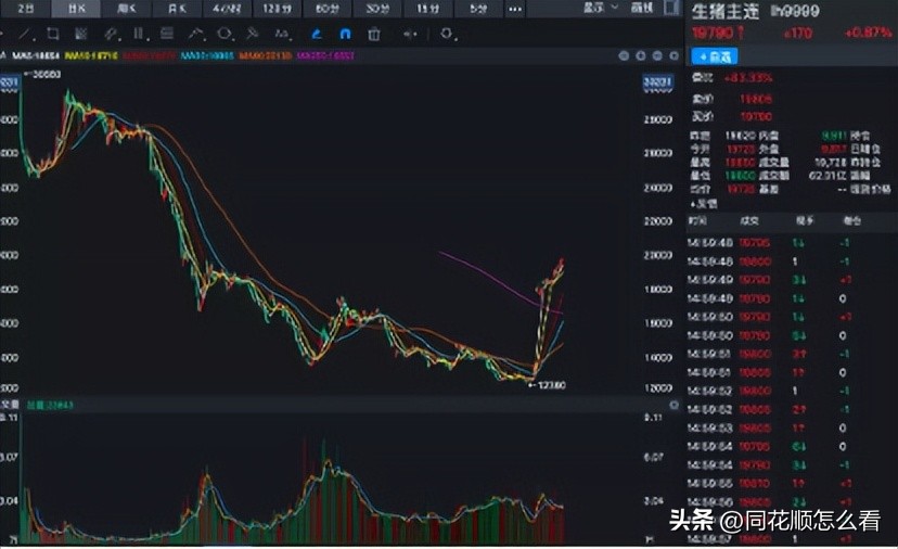 当下经济数据,中国目前的经济深度分析