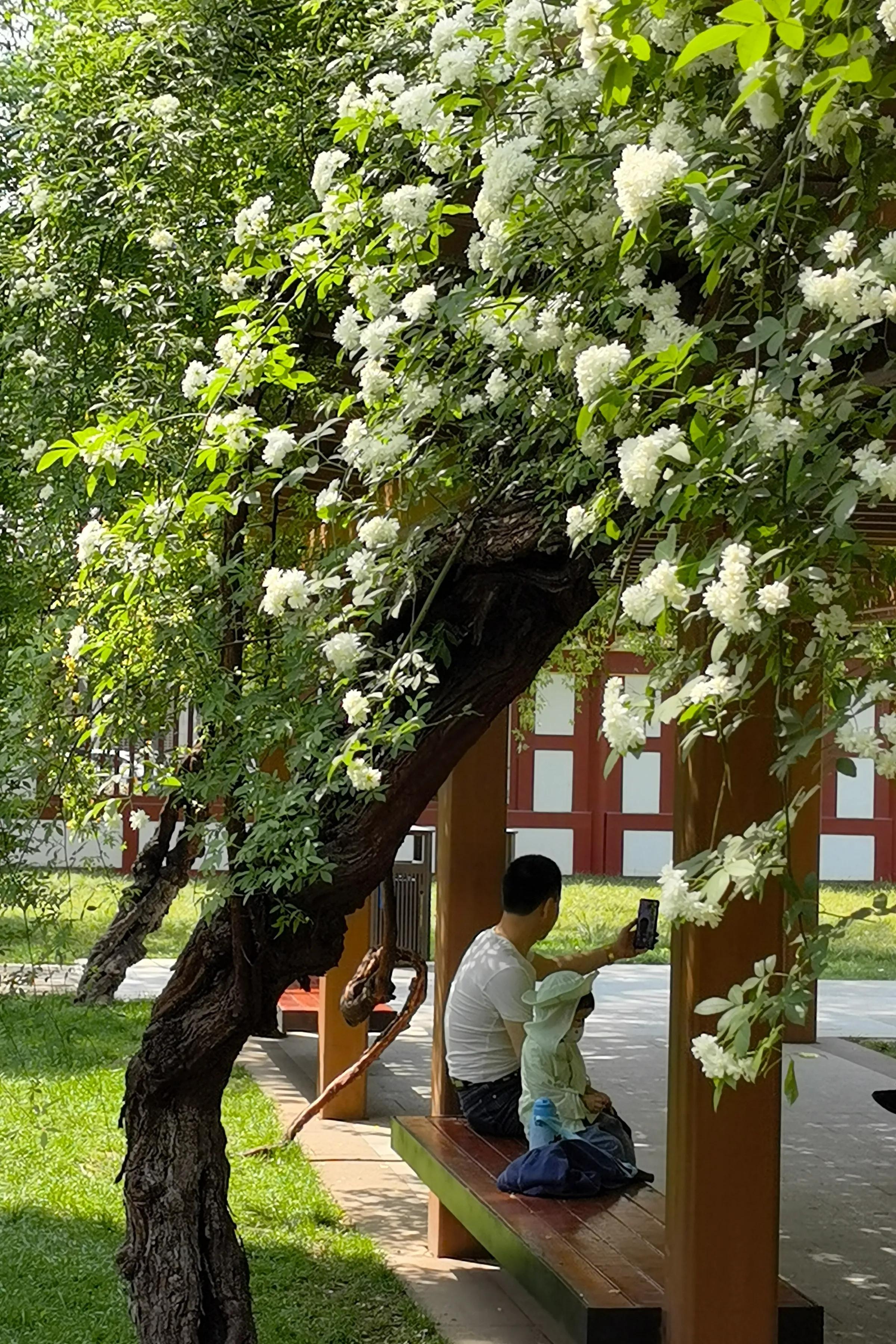 手拍世界近期作品,手拍世界完整版视频