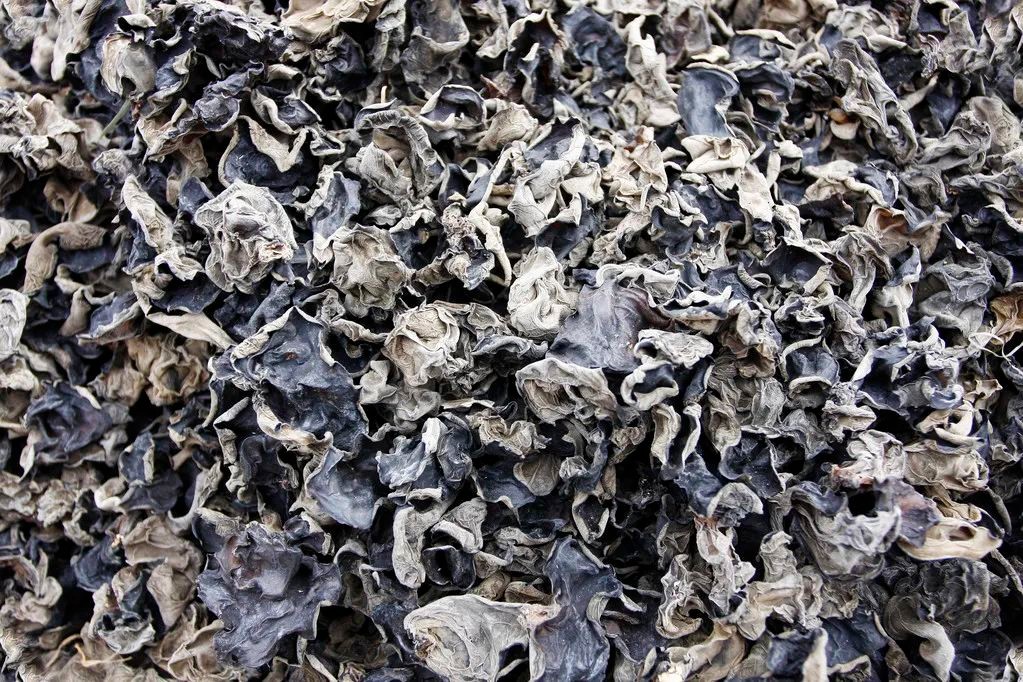 害喜治疗办法,害喜什么意思