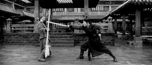 动作打斗电影十大巅峰之作,高分打斗电影国内排行榜前十