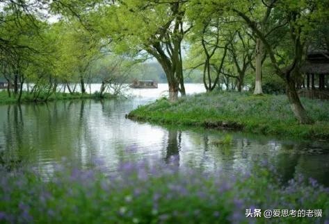 春天的绿色,春天的绿色风景