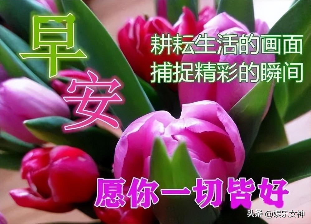 最新每日早上好问候语图片大全,早上好问候语图片怎样加表情的