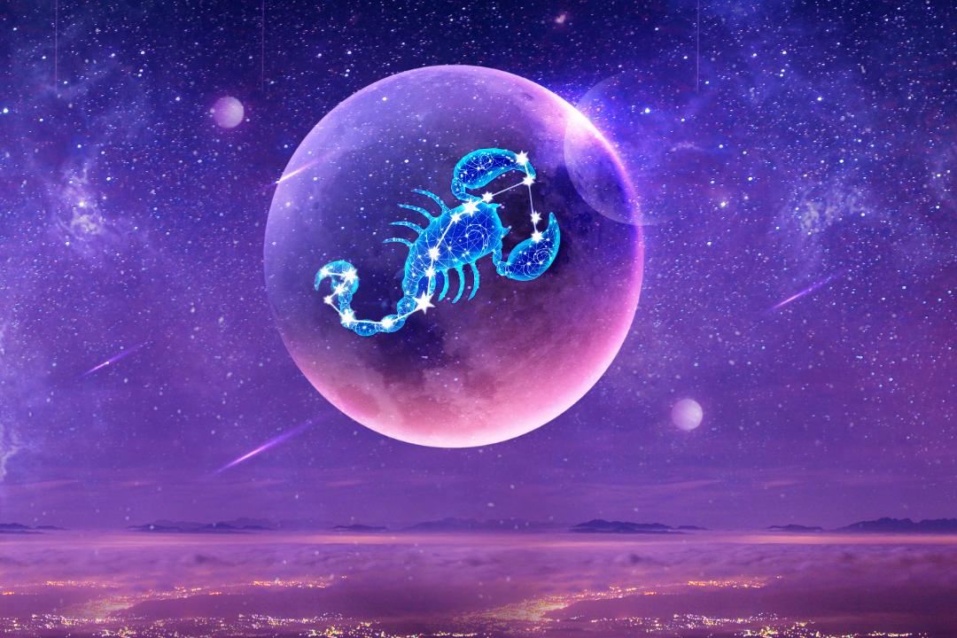 天蝎座,天蝎座2023年运势