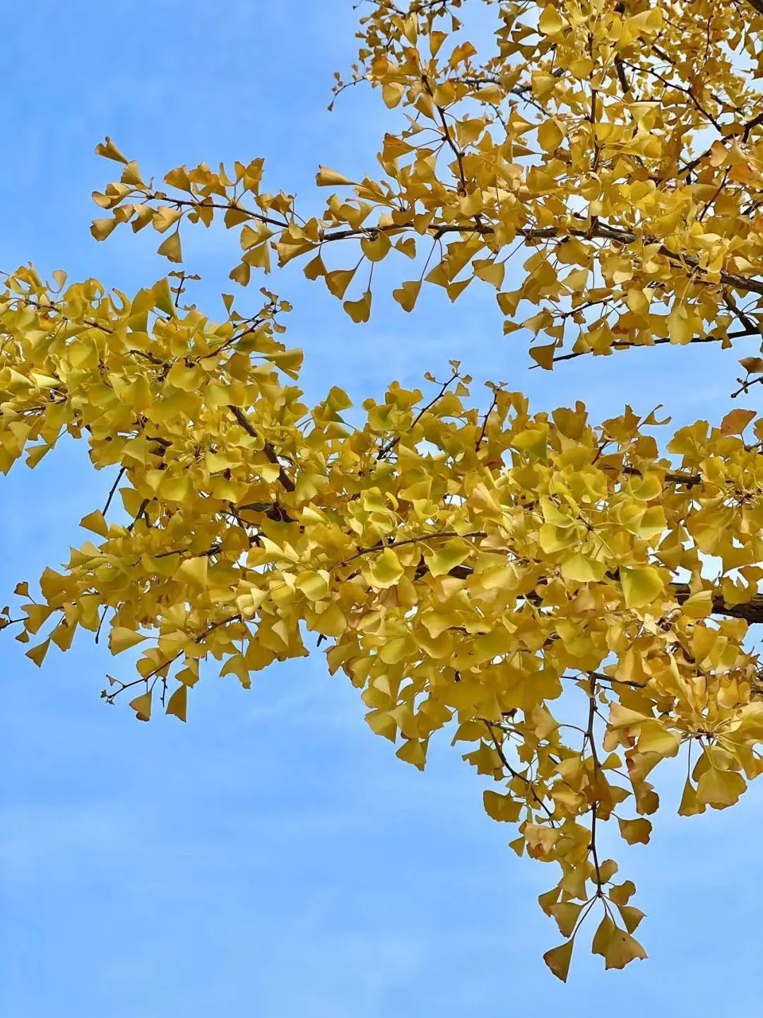 青岛纺织谷旅游攻略,青岛最近纺织谷拍什么