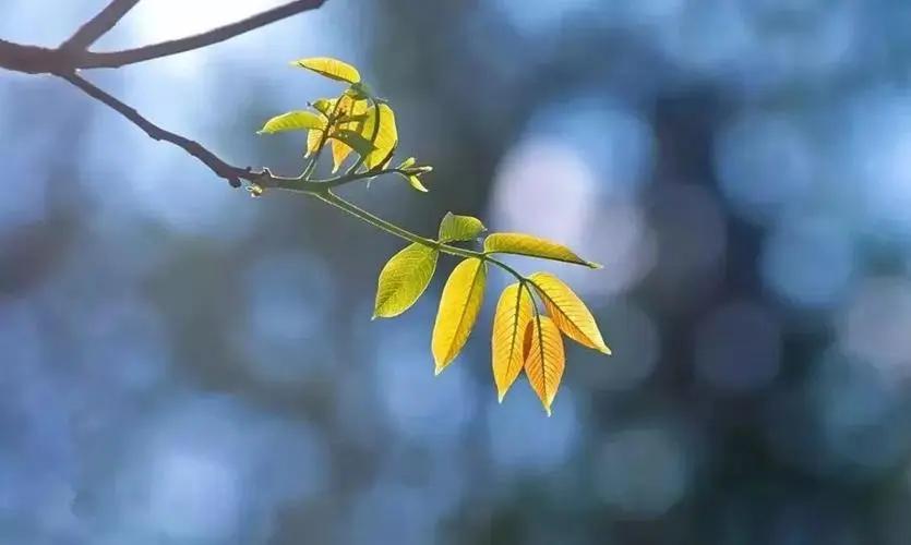 当你看透一切失去比拥有更踏实,当你看破一切后失去比拥有更踏实