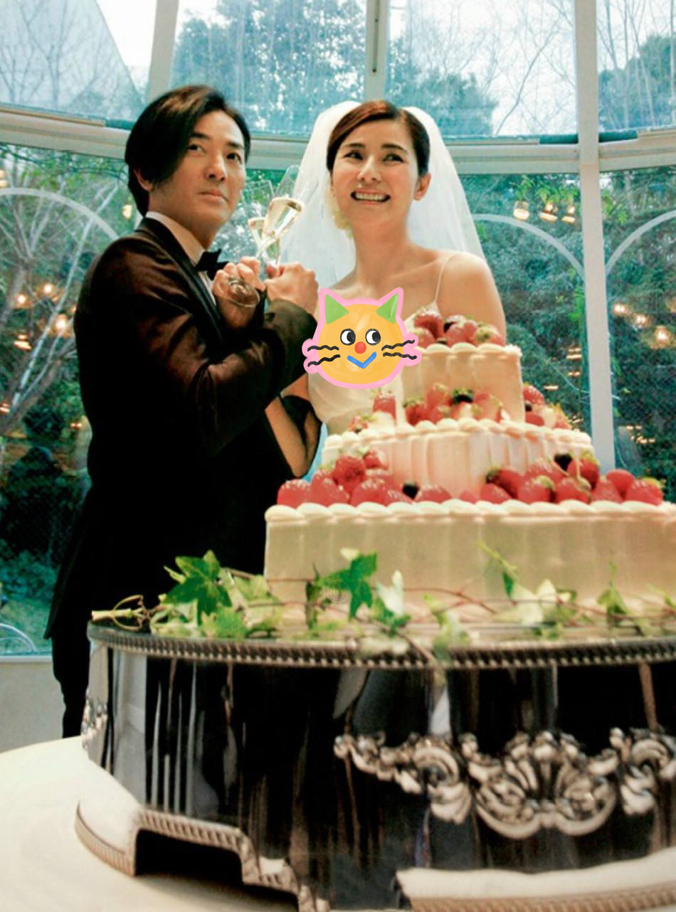 明星丁克家庭的夫妻有哪些,丁克一族的香港明星夫妻