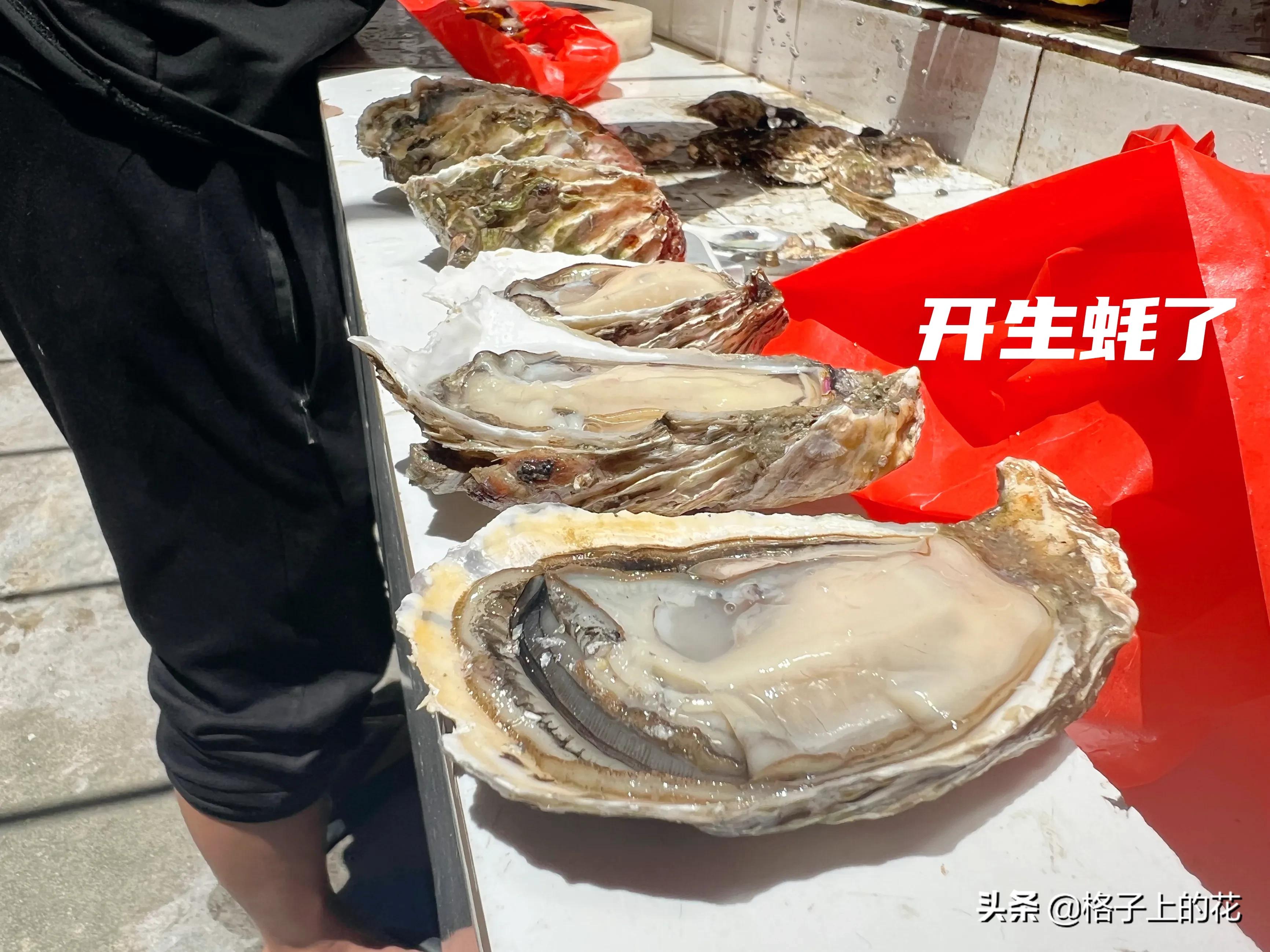 惠州有哪些小渔村好玩,惠州渔村