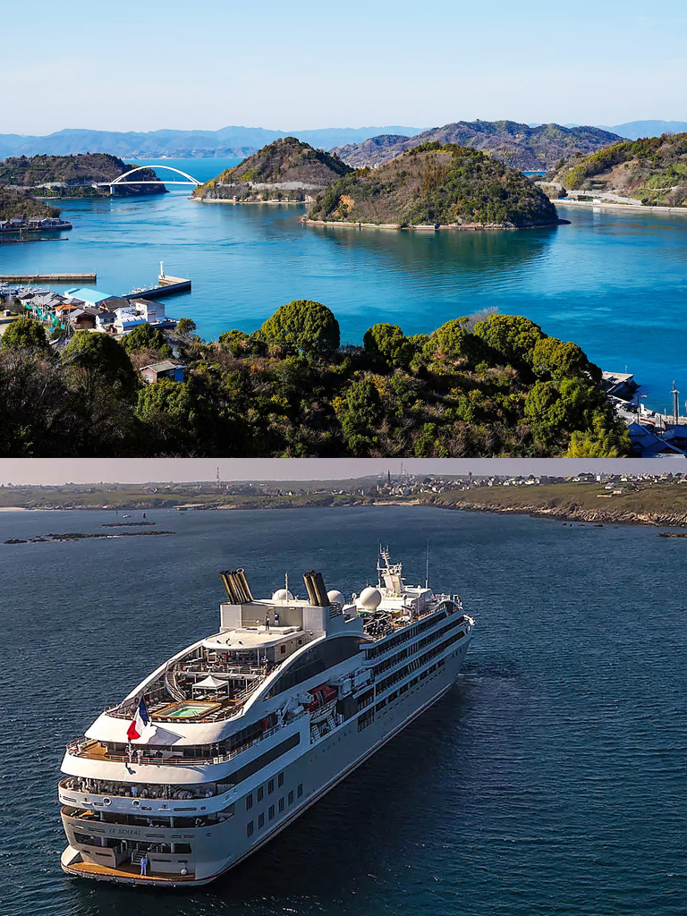 庞洛邮轮看海豚,庞洛邮轮全景图