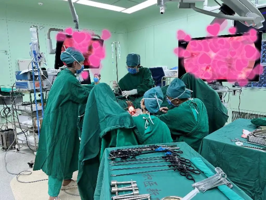 美丽与健康同在,美丽与健康并存